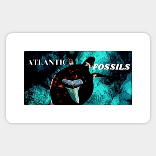 Underwater Sea Turtle and Atlantic Fossils Shk Tooth Sticker